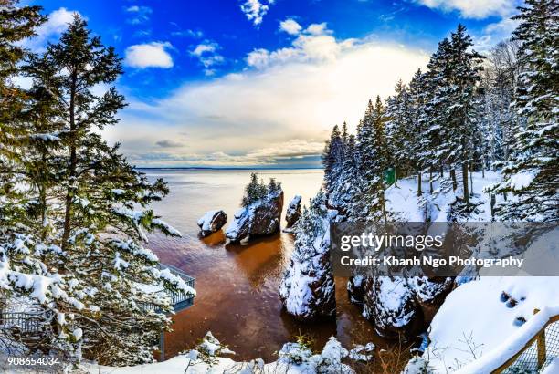 hopewell rocks in new brunswick - new brunswick canada stockfoto's en -beelden