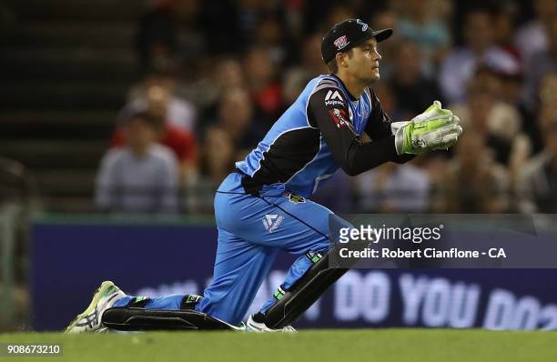 Alex Carey of the Strikers takes a catch to dismiss Tom Cooper of the Renegades during the Big Bash League match between the Melbourne Renegades and...