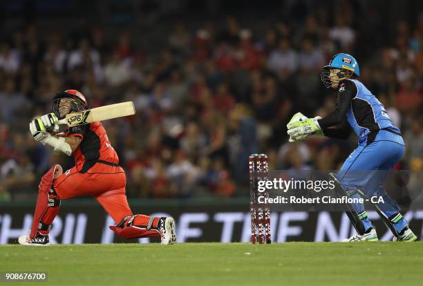 Brad Hodge of the Renegades bats during the Big Bash League match between the Melbourne Renegades and the Adelaide Strikers at Etihad Stadium on...