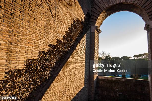 powerful light streaming in a arched window at the coliseum - rome sunset stock pictures, royalty-free photos & images