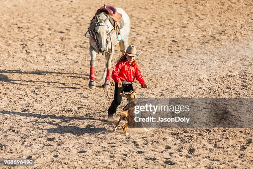 Goat Body Rope Goat Roping High-Res Stock Photo - Getty Images