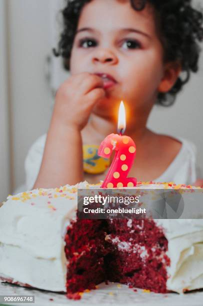 personas: dos años viejo cumpleaños niña - onebluelight fotografías e imágenes de stock