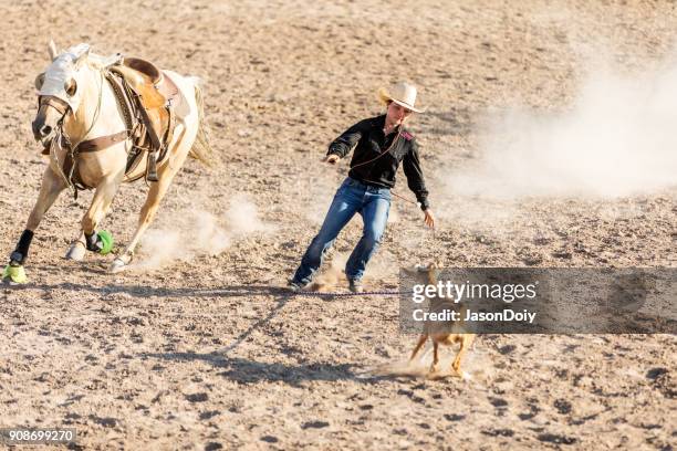 Expression Goat Rope Goat Roping High-Res Stock Photo - Getty Images