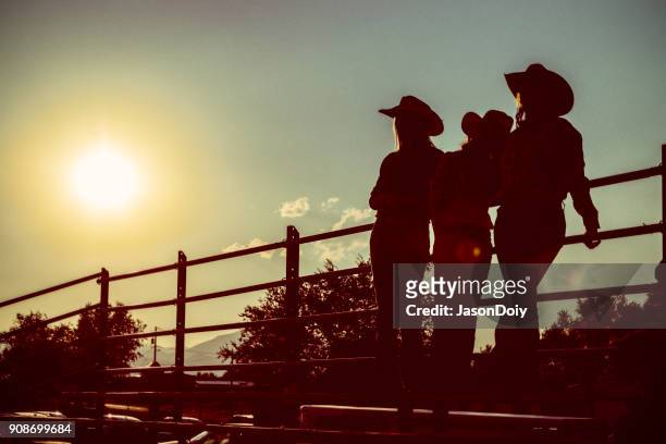 silhouette rodeo audience - rodeo stock pictures, royalty-free photos & images