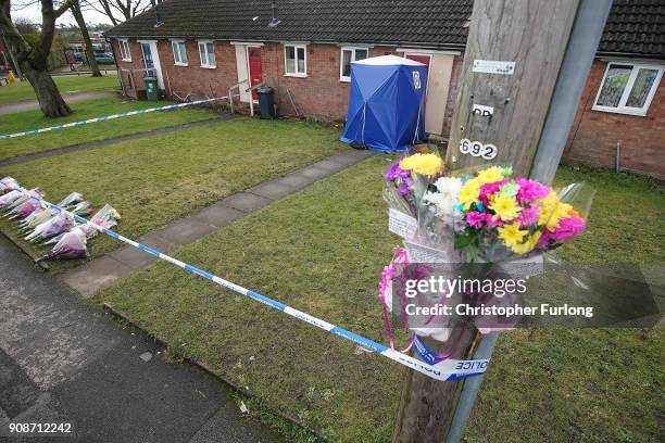 Police tent and floral tributes stand outside a home in Valley View, Brownhills, Walsall, where Mylee Billingham, aged eight, was stabbed and later...