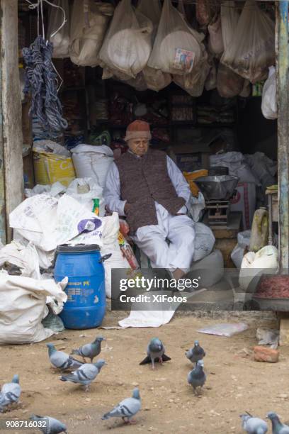 dry goods shop and its shopkeeper, jaisalmer, india - pigeon-size stock pictures, royalty-free photos & images