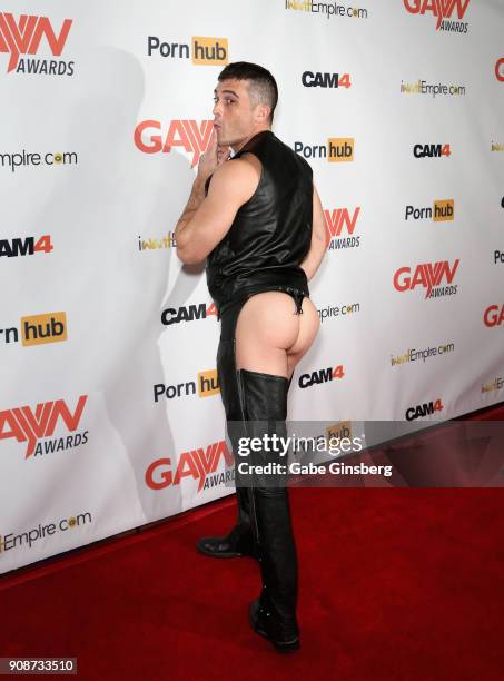 Adult film actor Lance Hart attends the 2018 GayVN Awards show at The Joint inside the Hard Rock Hotel & Casino on January 21, 2018 in Las Vegas,...