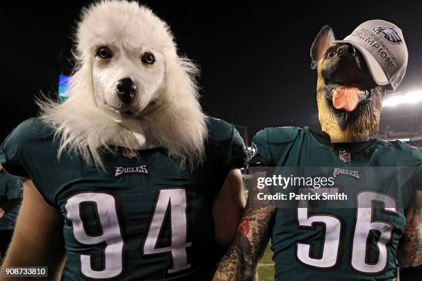 Beau Allen and Chris Long of the Philadelphia Eagles celebrates their teams win while wearing a dog masks over the Minnesota Vikings in the NFC...