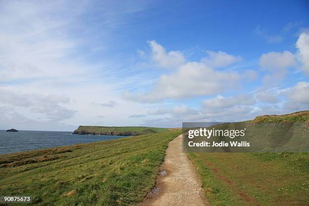 coastal path from rock to polzeath, cornwall - polzeath stock pictures, royalty-free photos & images