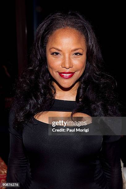 Lynn Whitfield attends the 2009 VH1 Divas cocktail party at a private residence on September 16, 2009 in New York City.