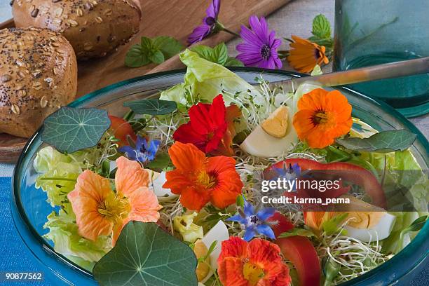 salate für den sommer - nasturtiums stock-fotos und bilder