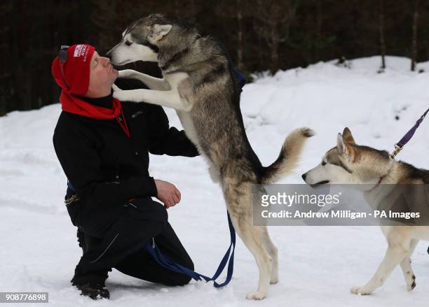 Musher Richard Morgan with his husky during a training session at Feshiebridge ahead of the The Siberian Husky Club of Great Britain's 35th Aviemore...