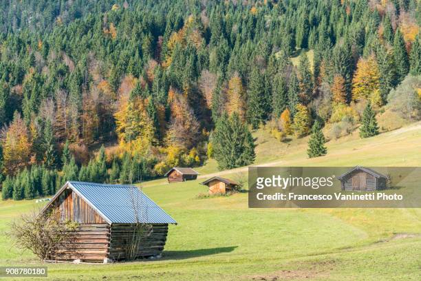 lodges on a green meadow and fir trees in the background. krün, upper bavaria, bavaria, germany. - bavarian forest stock pictures, royalty-free photos & images