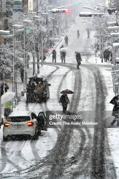 Pedestrian walk in the snow on January 22, 2018 in Mitaka, Tokyo, Japan. The Japan Meteorological Agency is forecasting 20 cm of snow in the Kanto,...