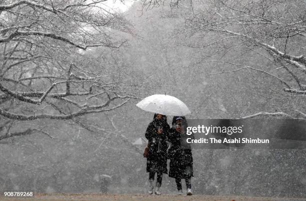 Visitors walk in the snow at the Ueno Park on January 22, 2018 in Tokyo, Japan. The Japan Meteorological Agency is forecasting 20 cm of snow in the...