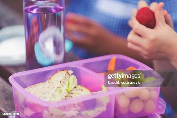 schoolgirls eating a healthy lunch. - meal box stock pictures, royalty-free photos & images