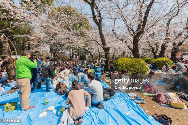 cherry blossom partij of een hanami in ueno park, tokio, japan - hanami stockfoto's en -beelden