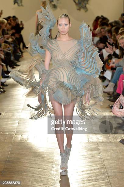 Model walks the runway at the Iris Van Herpen Spring Summer 2018 fashion show during Paris Haute Couture Fashion Week on January 22, 2018 in Paris,...