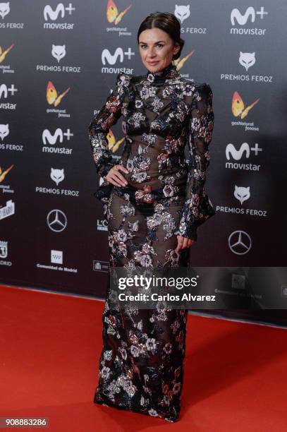 Miren Ibarguren attends Feroz Awards 2018 at Magarinos Complex on January 22, 2018 in Madrid, Spain.