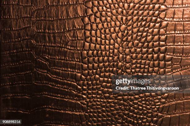 crocodile leather texture closeup background - reptile purse stock pictures, royalty-free photos & images