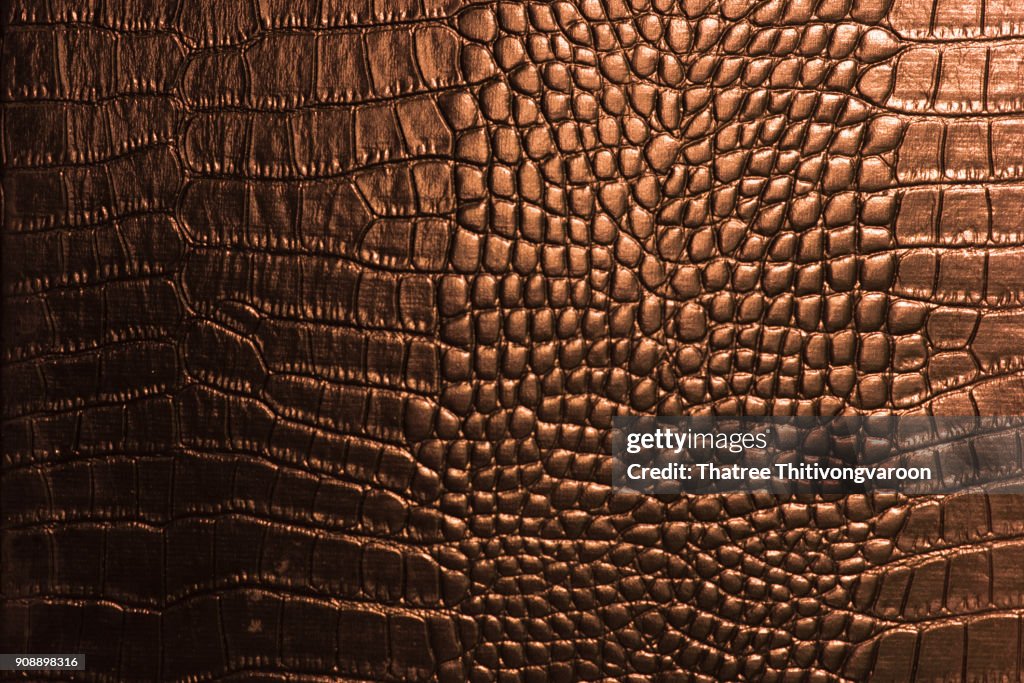 Crocodile leather texture closeup background