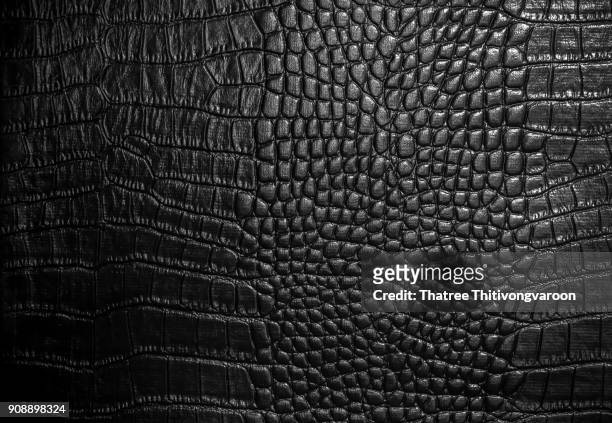 crocodile leather texture closeup background - peau de serpent photos et images de collection