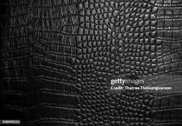 crocodile leather texture closeup background - borsetta di coccodrillo foto e immagini stock