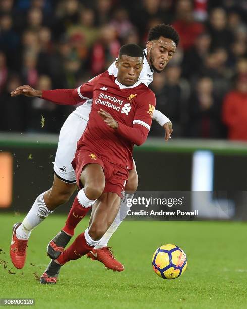 Geroginio Wijnaldum of Liverpool with Leroy Fer of Swansea during the Premier League match between Swansea City and Liverpool at Liberty Stadium on...