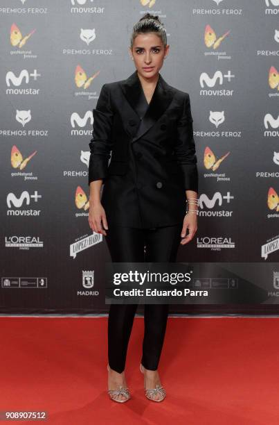 Actress Inma Cuesta attends Feroz Awards 2018 at Magarinos Complex on January 22, 2018 in Madrid, Spain.