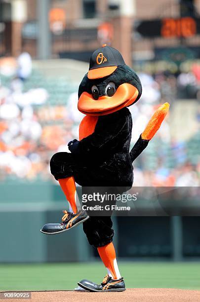 The Baltimore Orioles mascot entertains fans before the game between the Baltimore Orioles and the Cleveland Indians at Camden Yards on August 30,...