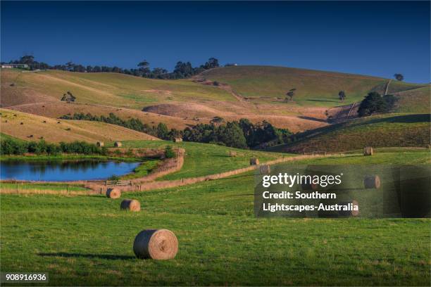 Bena Victoria Photos and Premium High Res Pictures Getty Images