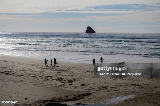 group of people at beach of cape meares light, oregon, usa - tillamook rock light stock pictures, royalty-free photos & images