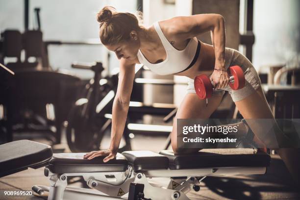 Dumbbell Bench Photos And Premium High Res Pictures Getty Images dumbbell-bench-photos-and-premium-high-res-pictures-getty-images