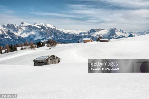 panoramic view of dolomiti in seiser alm - pjphoto69 stock pictures, royalty-free photos & images