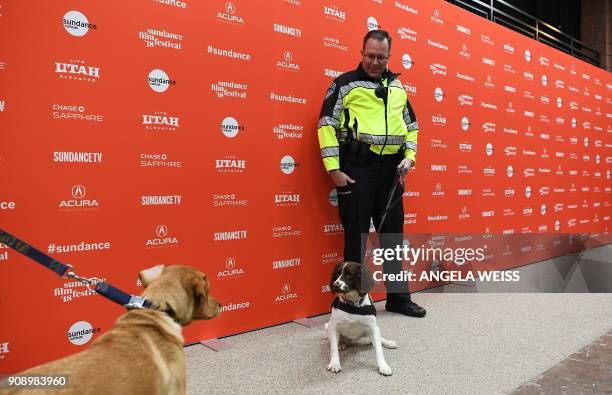 Two security dogs look at each other at the premiere of "Ophelia" during the 2018 Sundance Film Festival at Eccles Center Theatre on January 22, 2018...