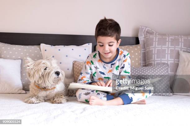 a little boy reading book to his westy dog puppy on the bed - boy sitting on bed stock-fotos und bilder