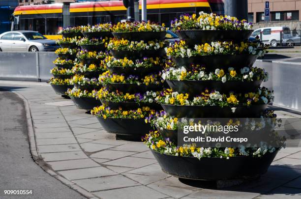 flower pots - polonia stock pictures, royalty-free photos & images