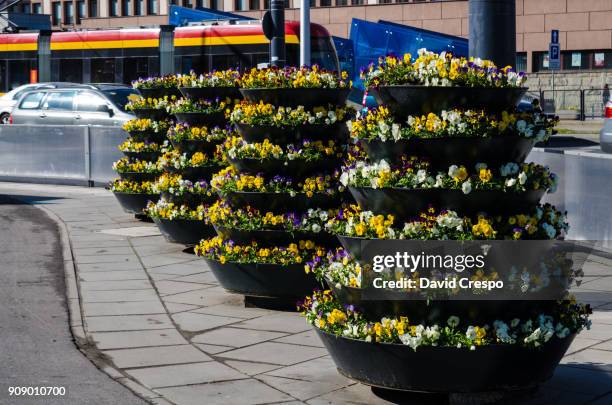 flower pots - polonia stock pictures, royalty-free photos & images