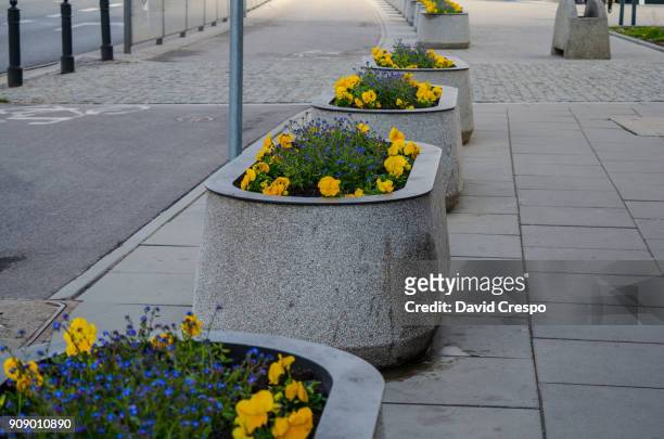 flower pots - polonia stock pictures, royalty-free photos & images