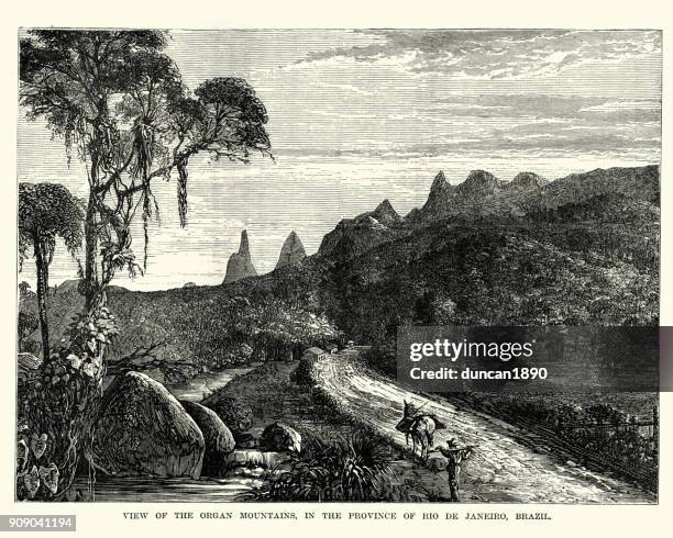 organ mountains, rio de janeiro, brazil , 19th century - organ mountains stock illustrations