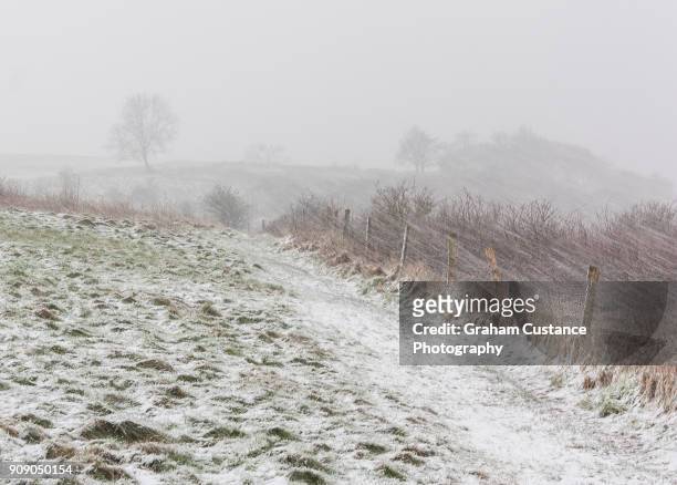 dunstable downs in winter - チルターンヒルズ ストックフォトと画像