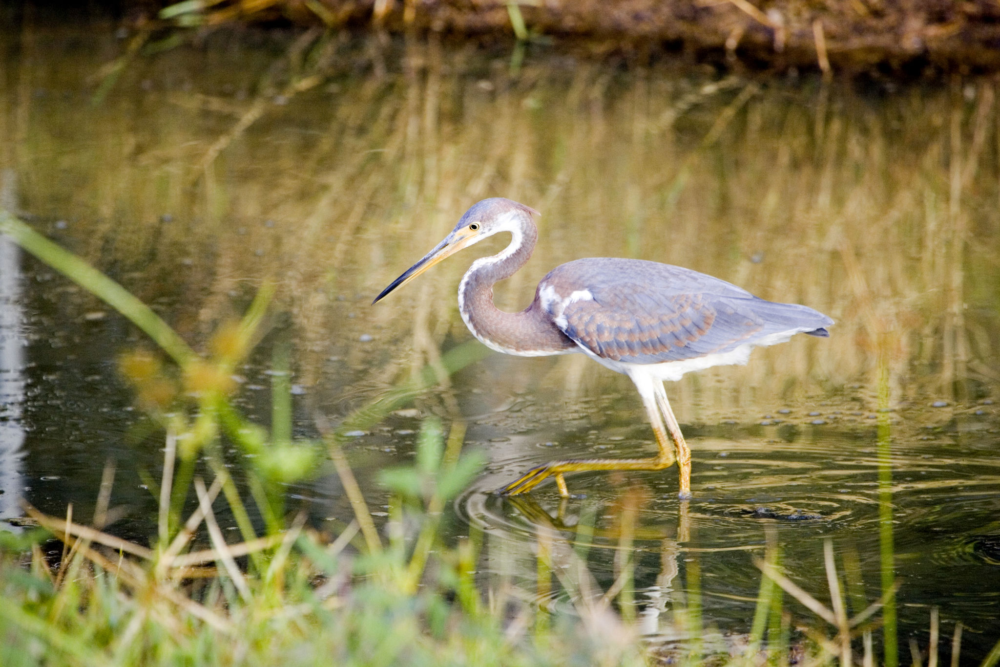 audubon park