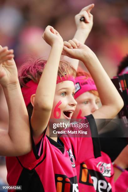 Sixers fans cheer during the Big Bash League match between the Sydney Sixers and the Melbourne Stars at Sydney Cricket Ground on January 23, 2018 in...