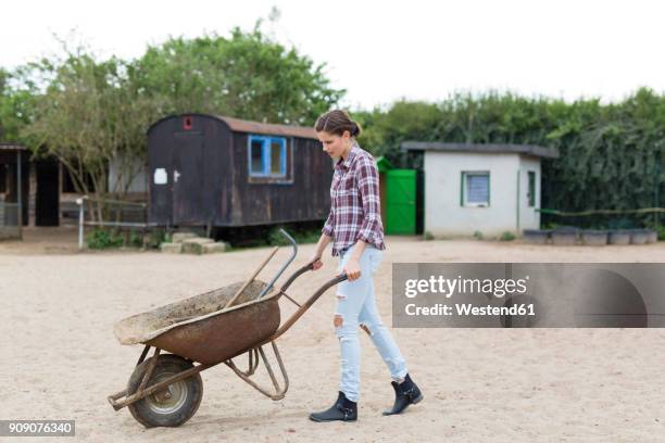 woman walking with wheelbarrow on horse farm - wheelbarrow stock pictures, royalty-free photos & images