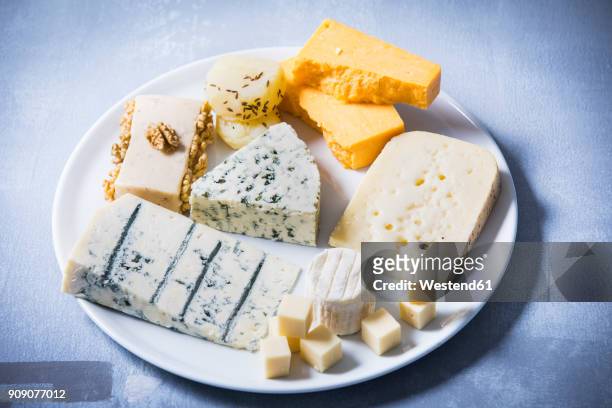 cheese platter, different sorts of cheese on plate - cheese board photos et images de collection
