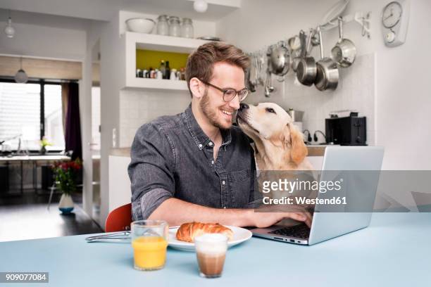 smiling man with dog using laptop in kitchen at home - einzelnes tier stock-fotos und bilder
