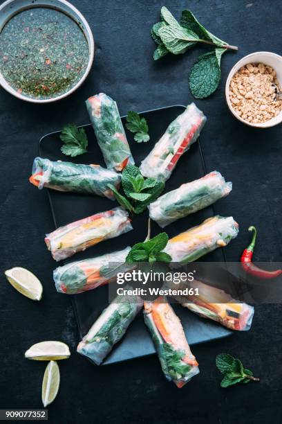 vietnamese spring roll with vegetables, roasted peanuts and herbs, sauce - vietnamese cuisine stock pictures, royalty-free photos & images