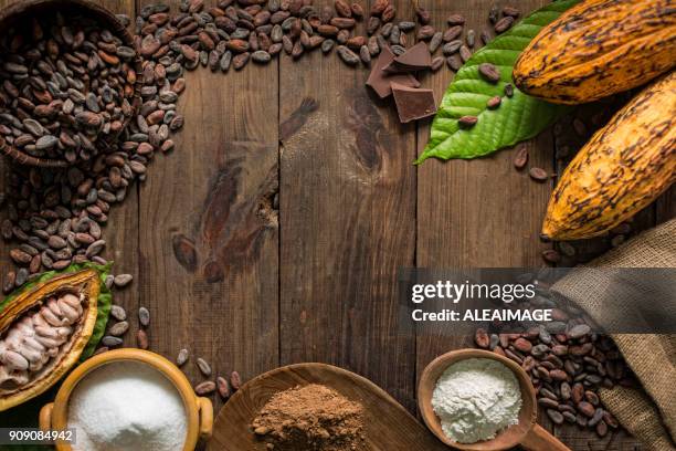 composición del cacao con espacio de copia - polvo de cacao fotografías e imágenes de stock