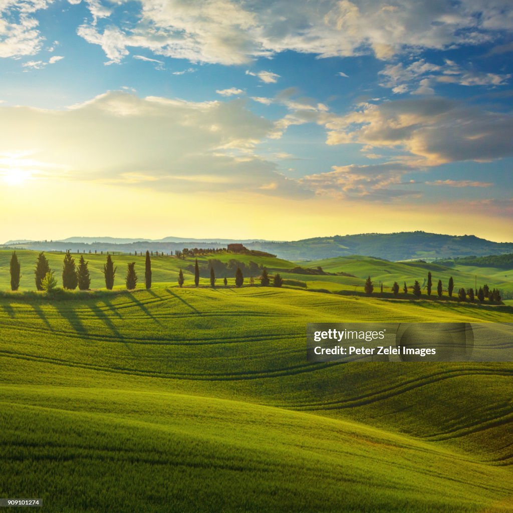 Landscape in Tuscany at sunset