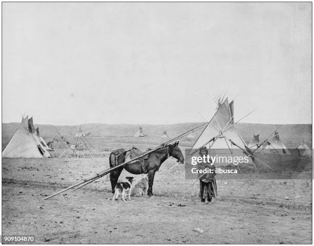 antique photograph of world's famous sites: indian pony and camp, alberta, canada - 20th century history stock illustrations